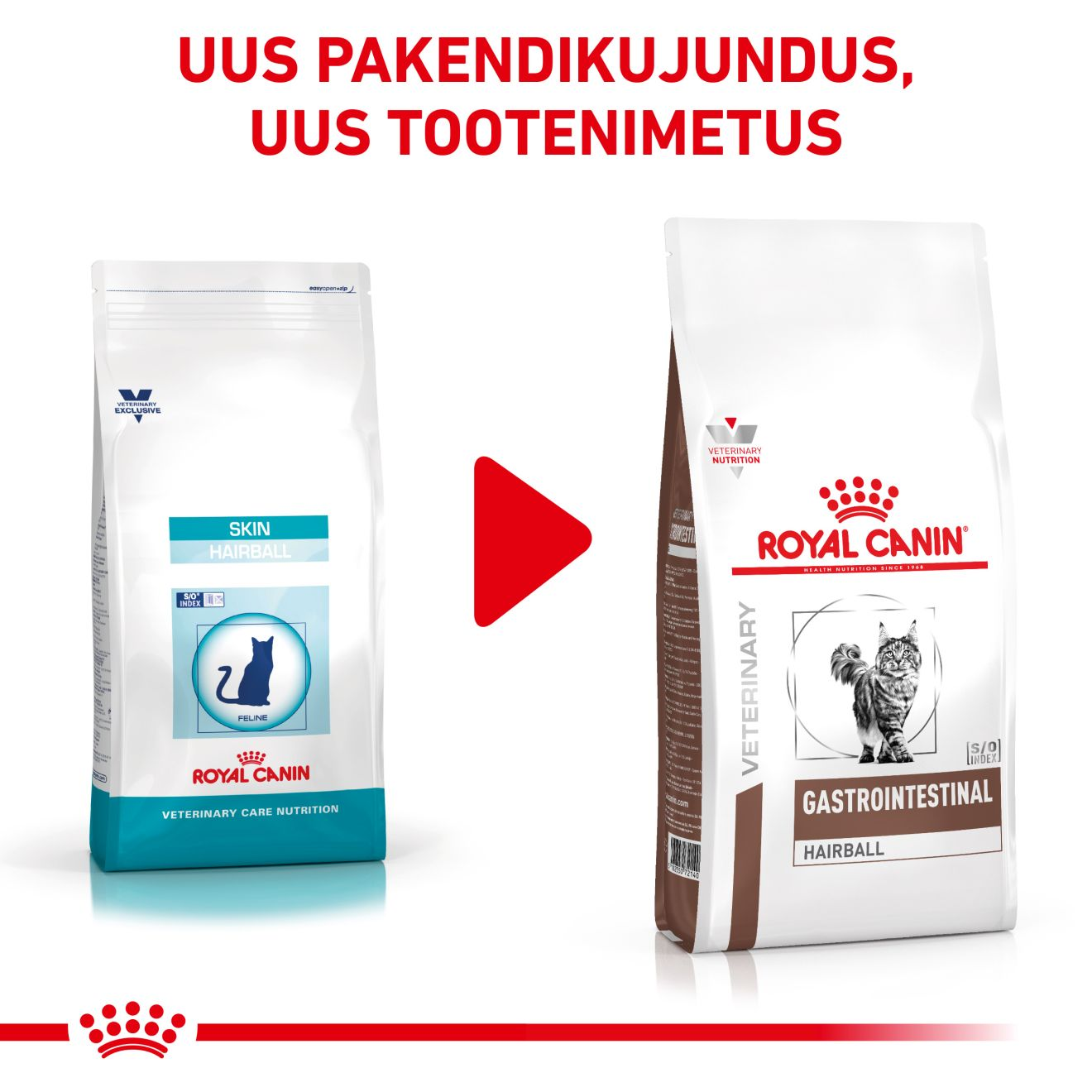 Royal Canin Gastrointestinal Hairball Cat kuivtoit