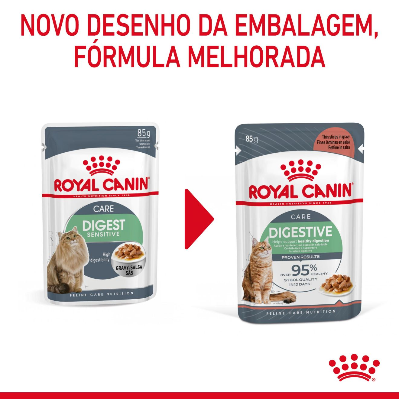 DIGESTIVE CARE Fatias finas em molho