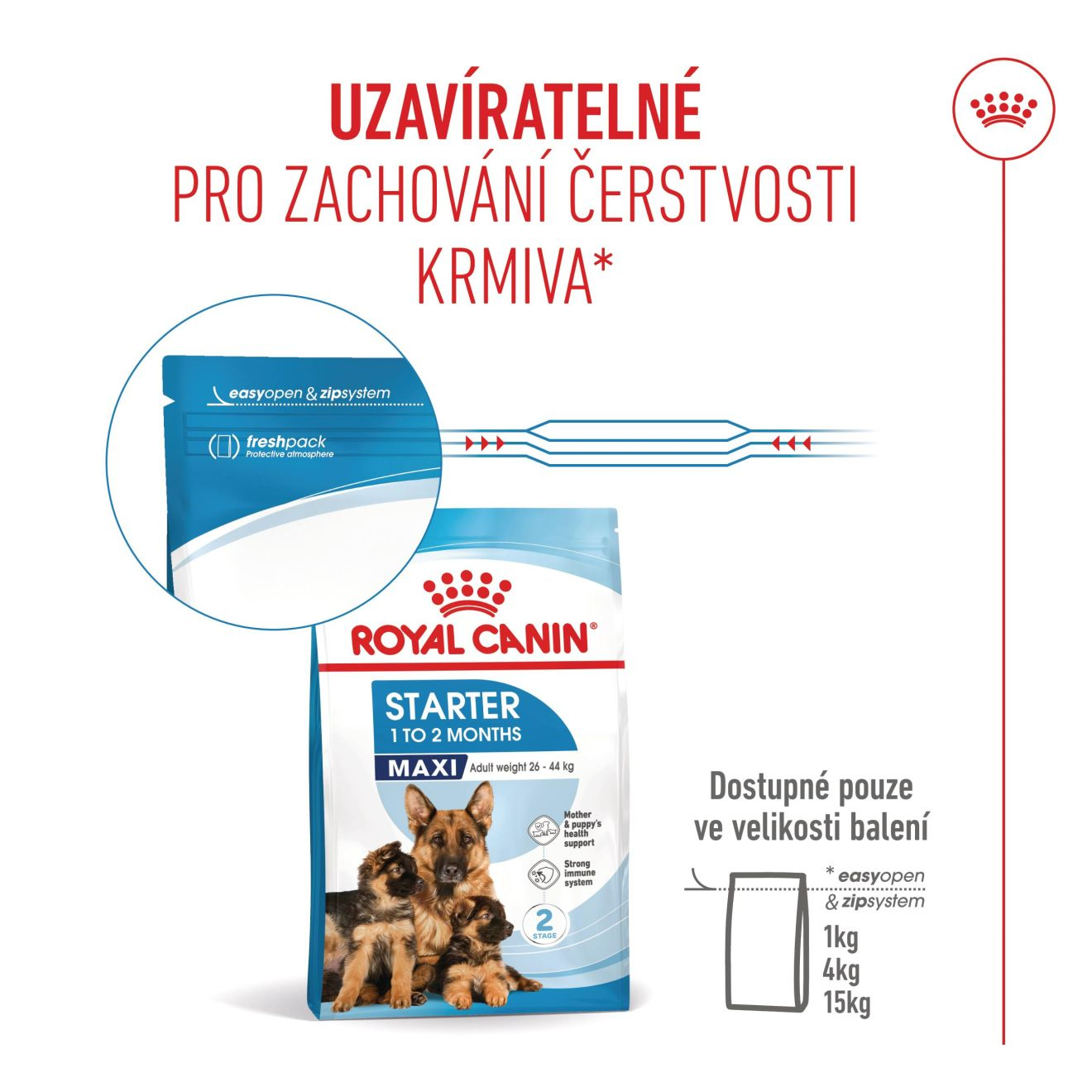 MAXI STARTER Mother & Babydog 