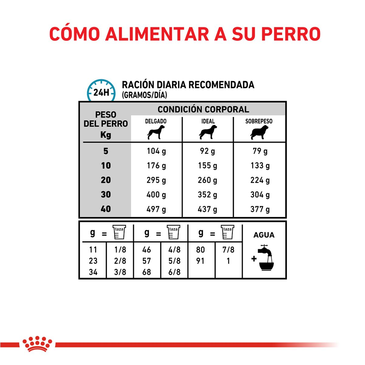 Anallergenic canine | Royal Canin Argentina