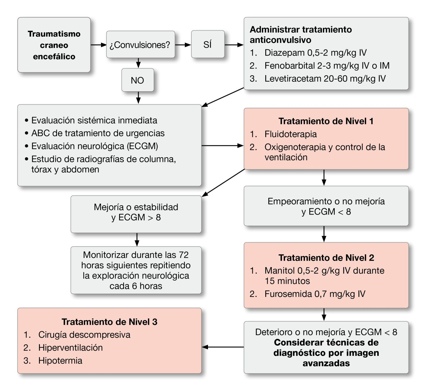 Figura 4. El tratamiento del traumatismo craneoencefálico debe realizarse