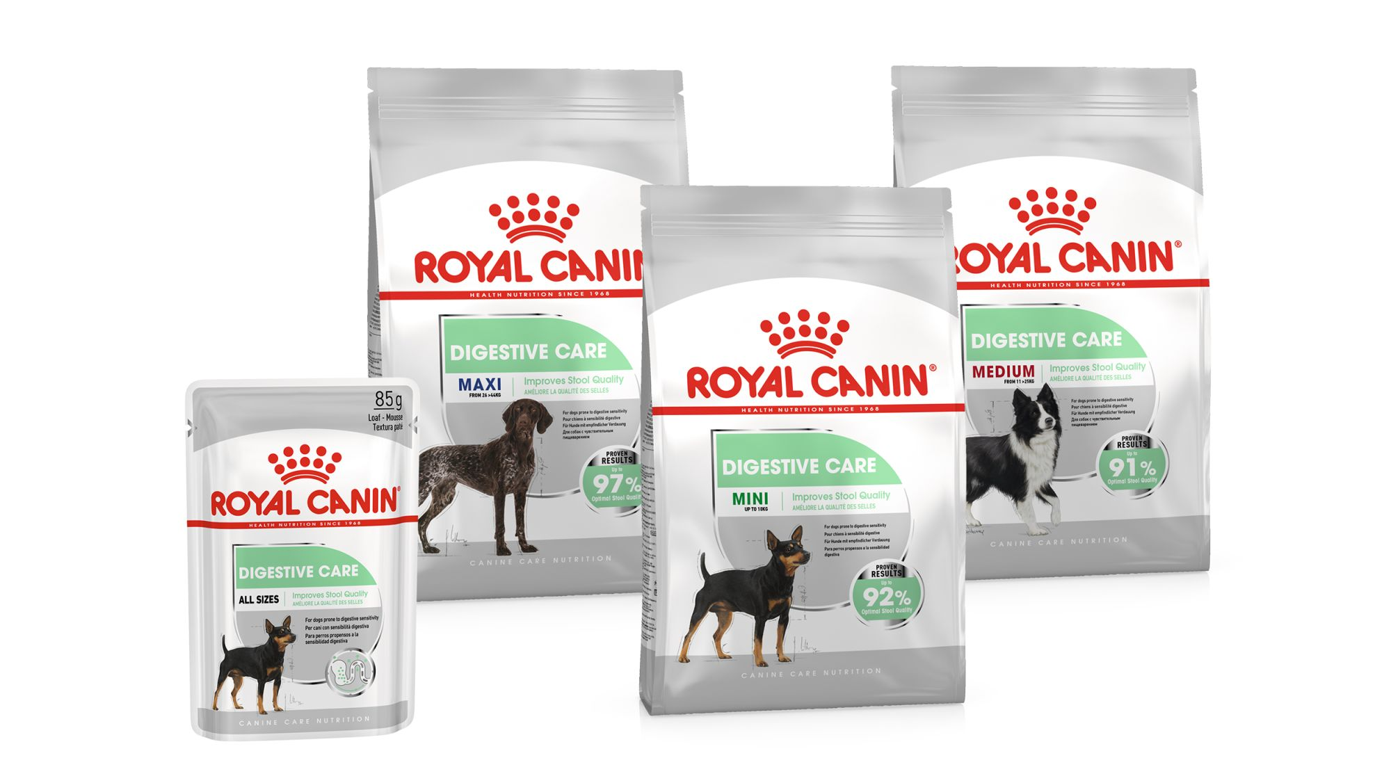 Royal canin digestive care 2024 puppy