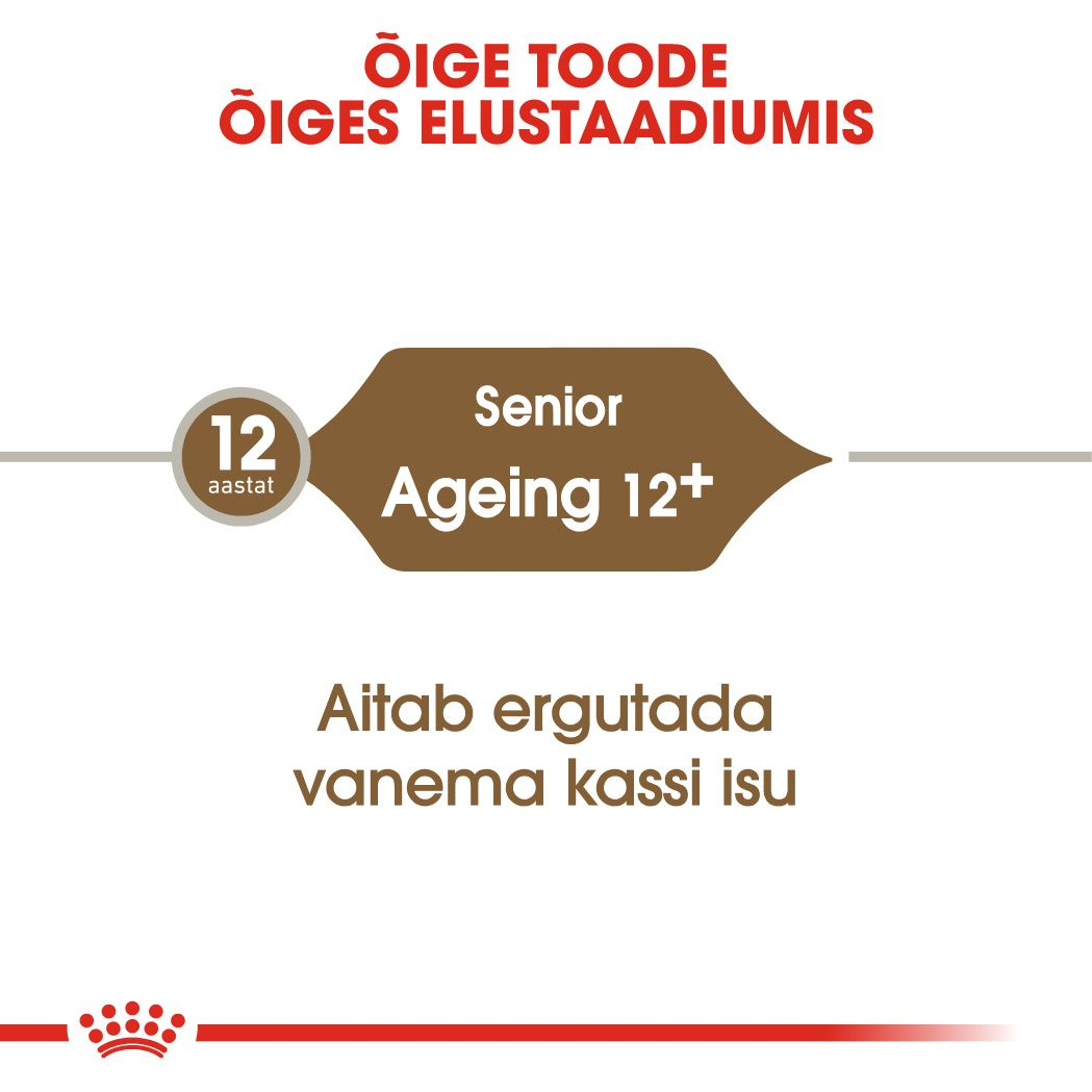 Royal Canin Ageing 12+ kuivtoit