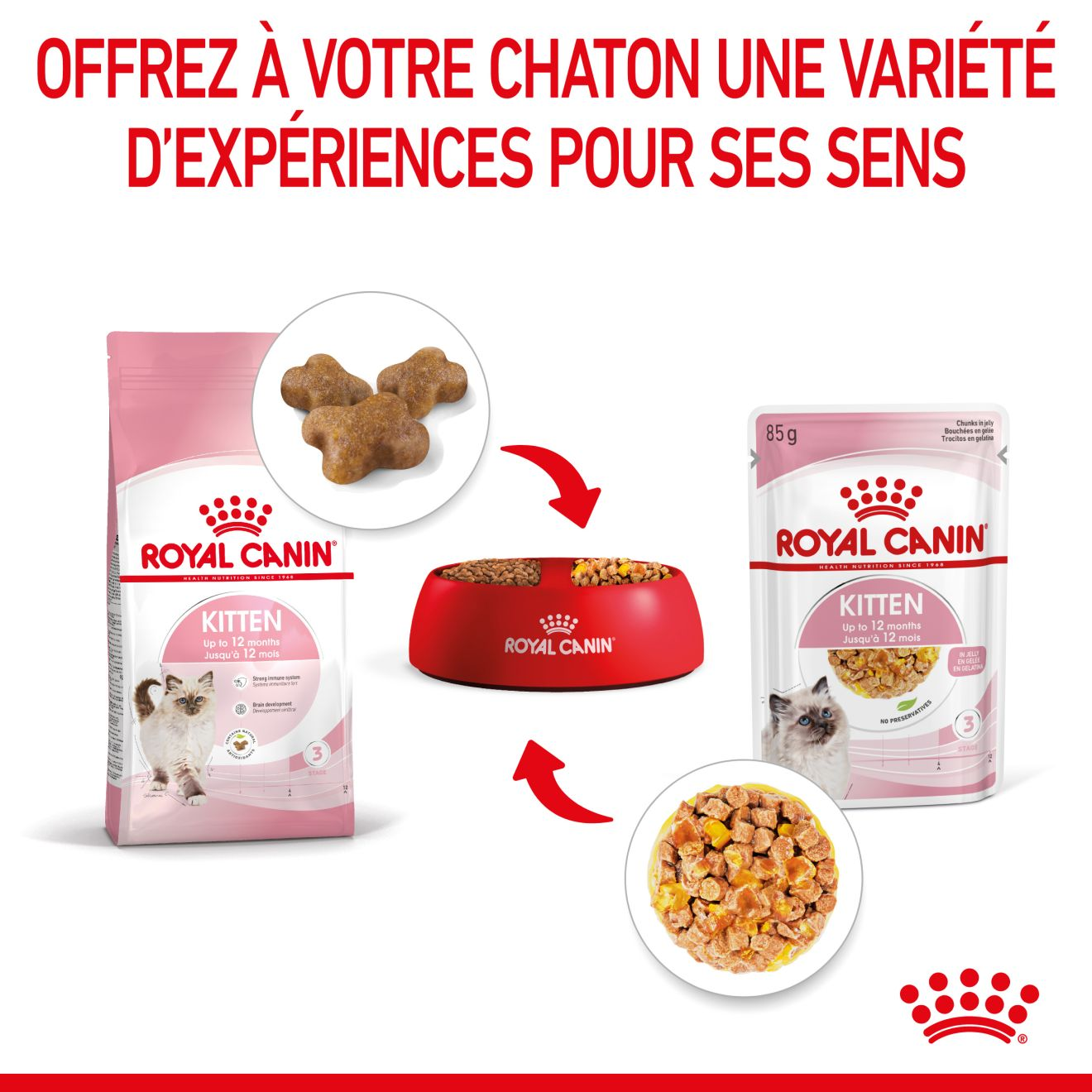 Kitten Gelée - Sachet fraîcheur pour chaton