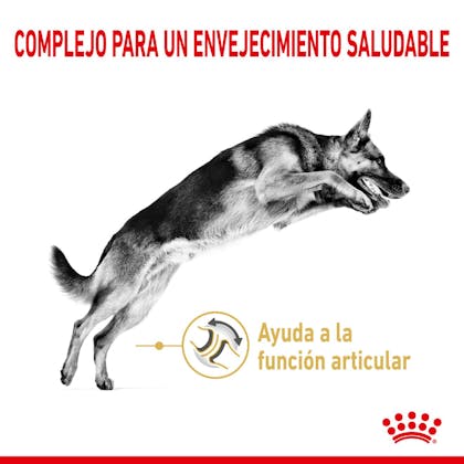 RAZA