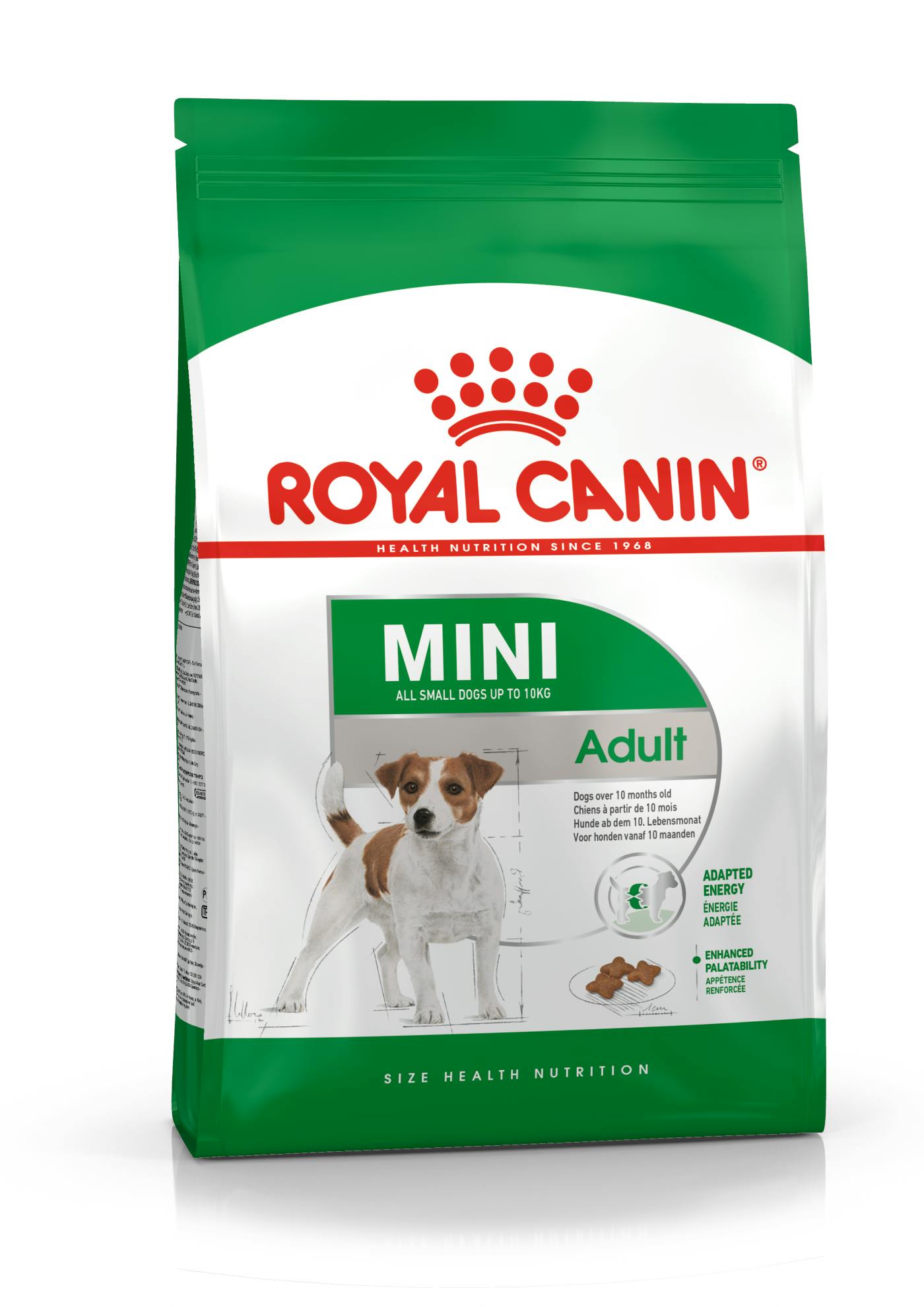 terug publiek snor Mini Adult dry | Royal Canin