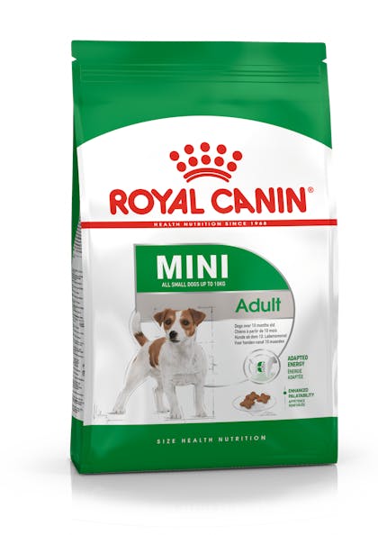 Mini Adult dry Royal Canin