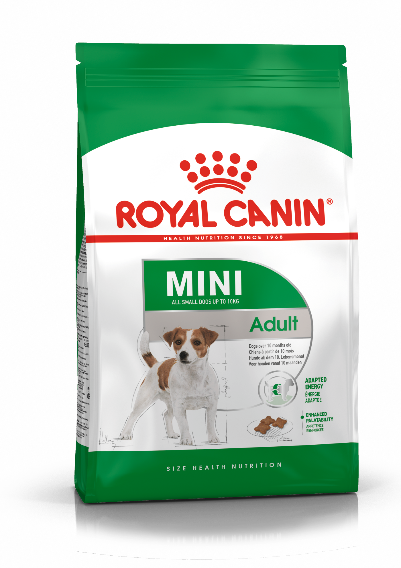 Mini Adult Royal Canin MY