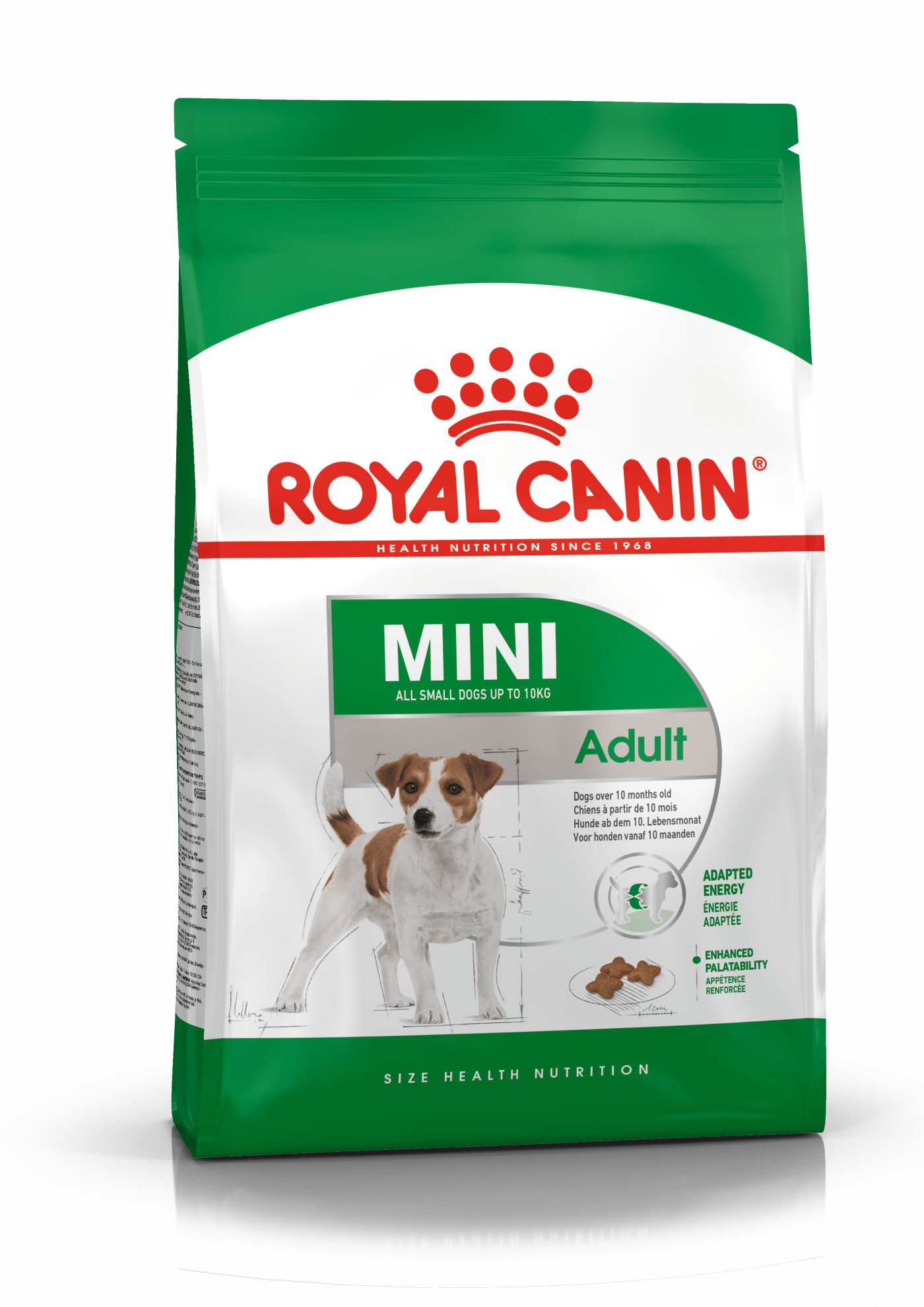 Mini Adult Dry - Royal Canin