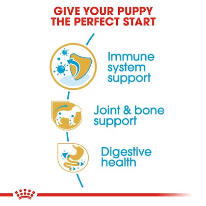 BHN-PuppyDachshund-CV-EretailKit-3