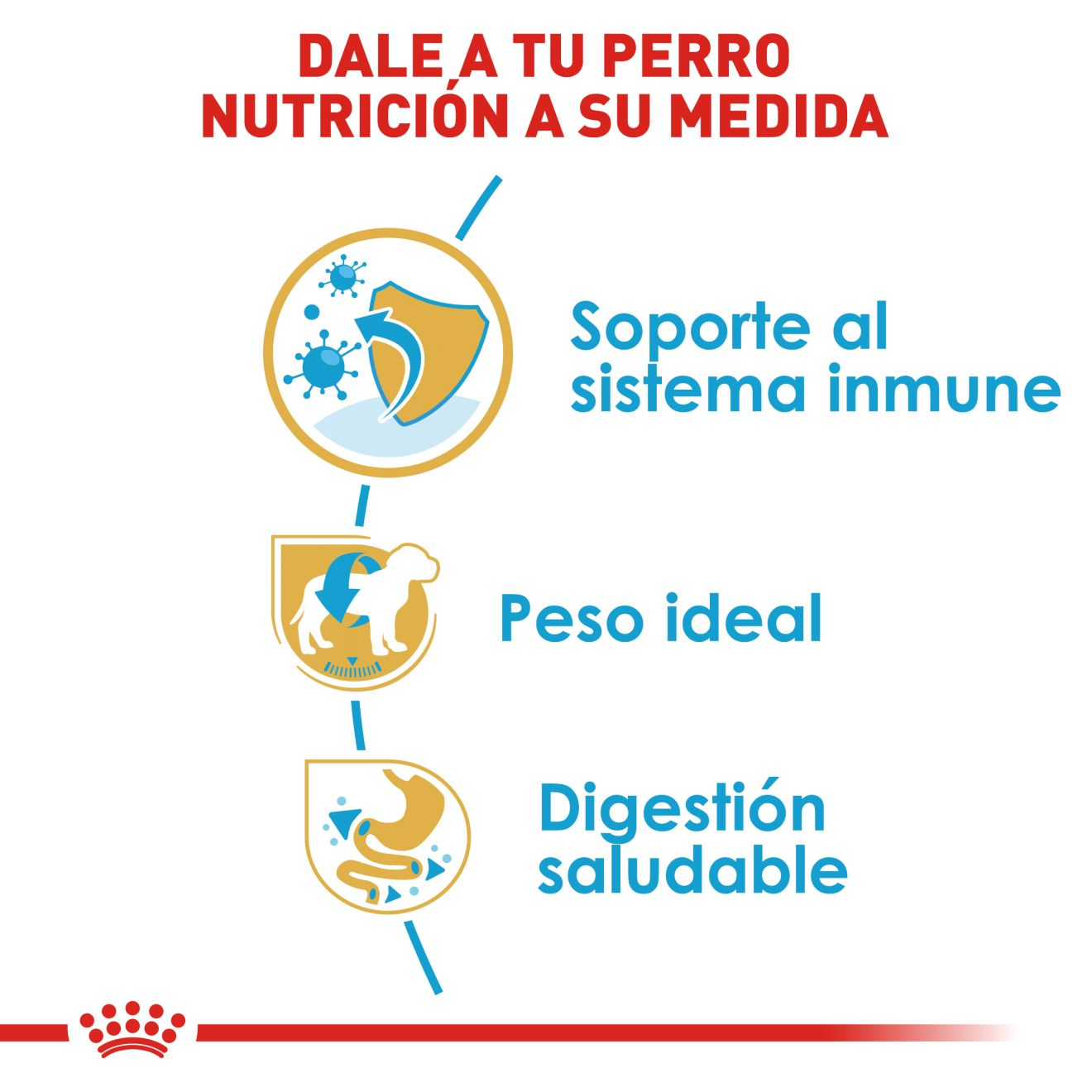 Schnauzer Miniatura Cachorro