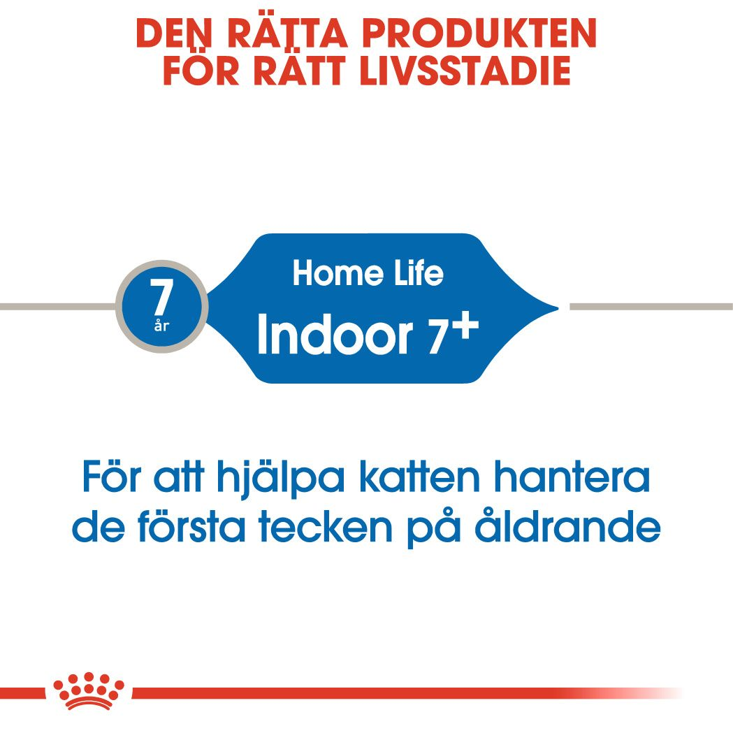 Indoor 7+