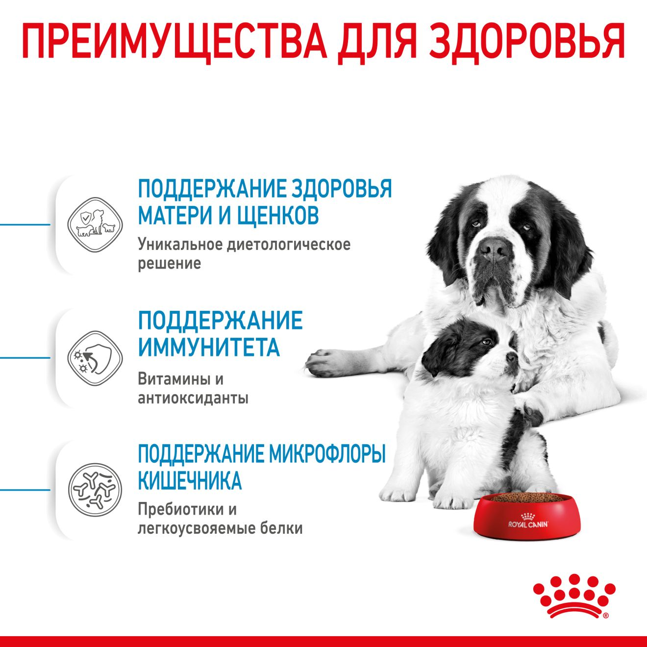 Royal canin hot sale giant starter