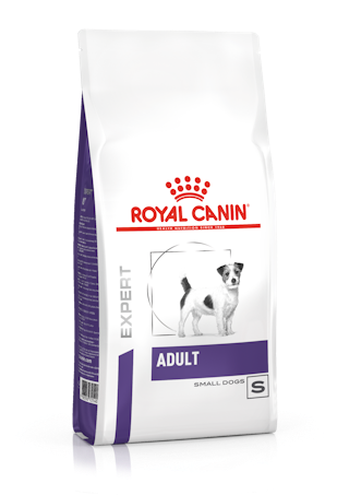 Royal Canin Adult Small Dog kuivtoit