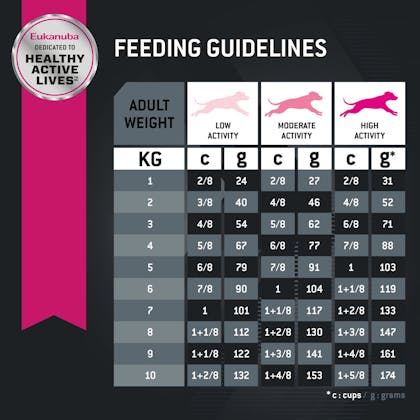 Small Breed Dog Food and Feeding Guide