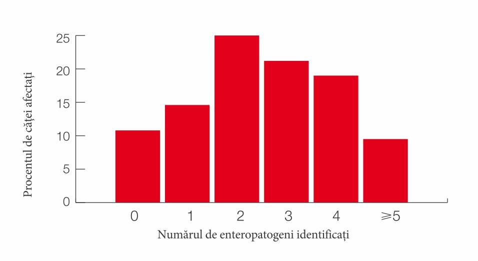 Frecvența suprainfecțiilor la cățeii cu diaree în preajma înțărcării.