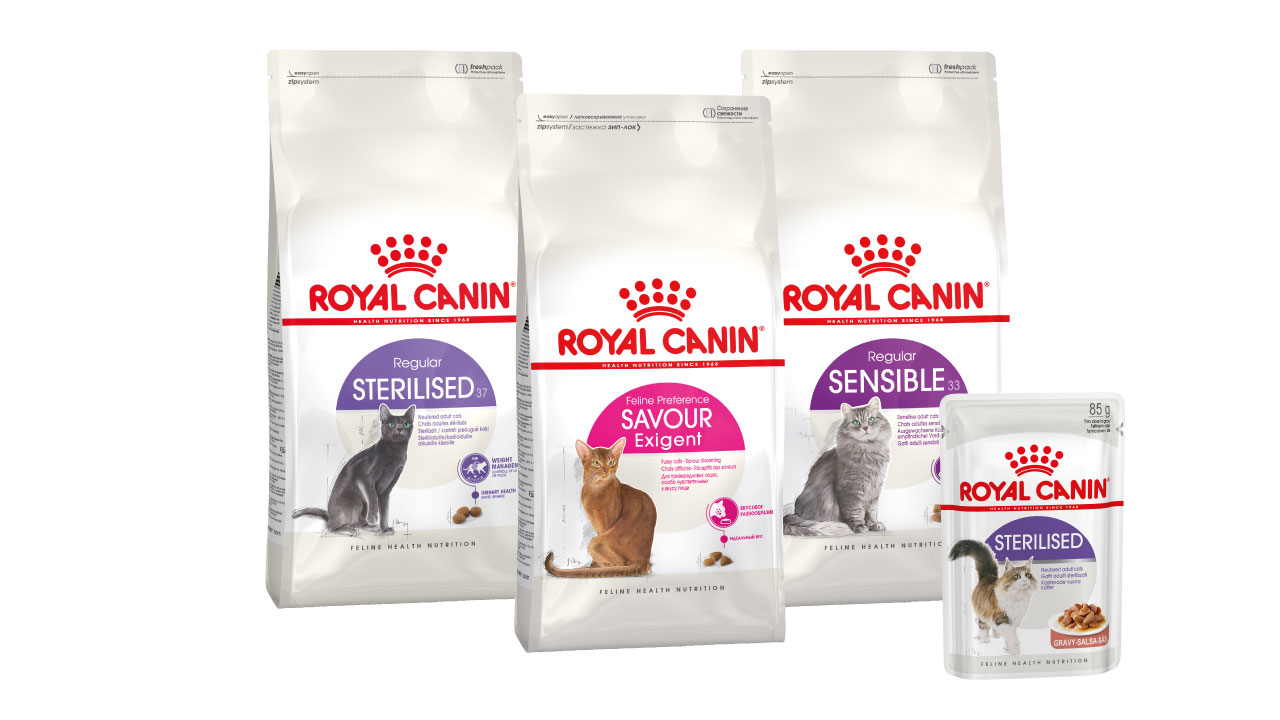 Zdrave mačke različite dobi i načina života