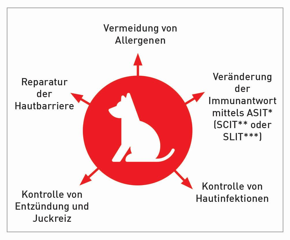 Die multimodale Behandlung der caninen atopischen Dermatitis.