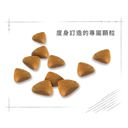 Royal Canin _無毛貓成貓專屬配方_正方形_HK_4