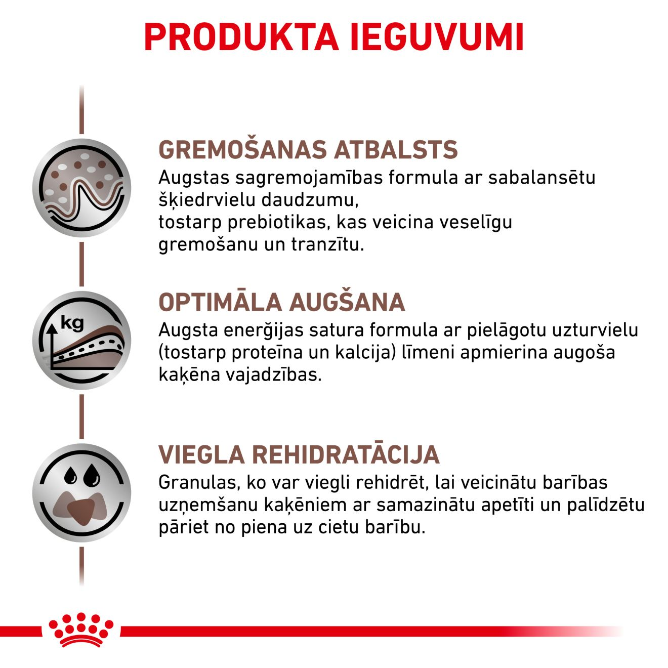 Gastrointestinal Kitten