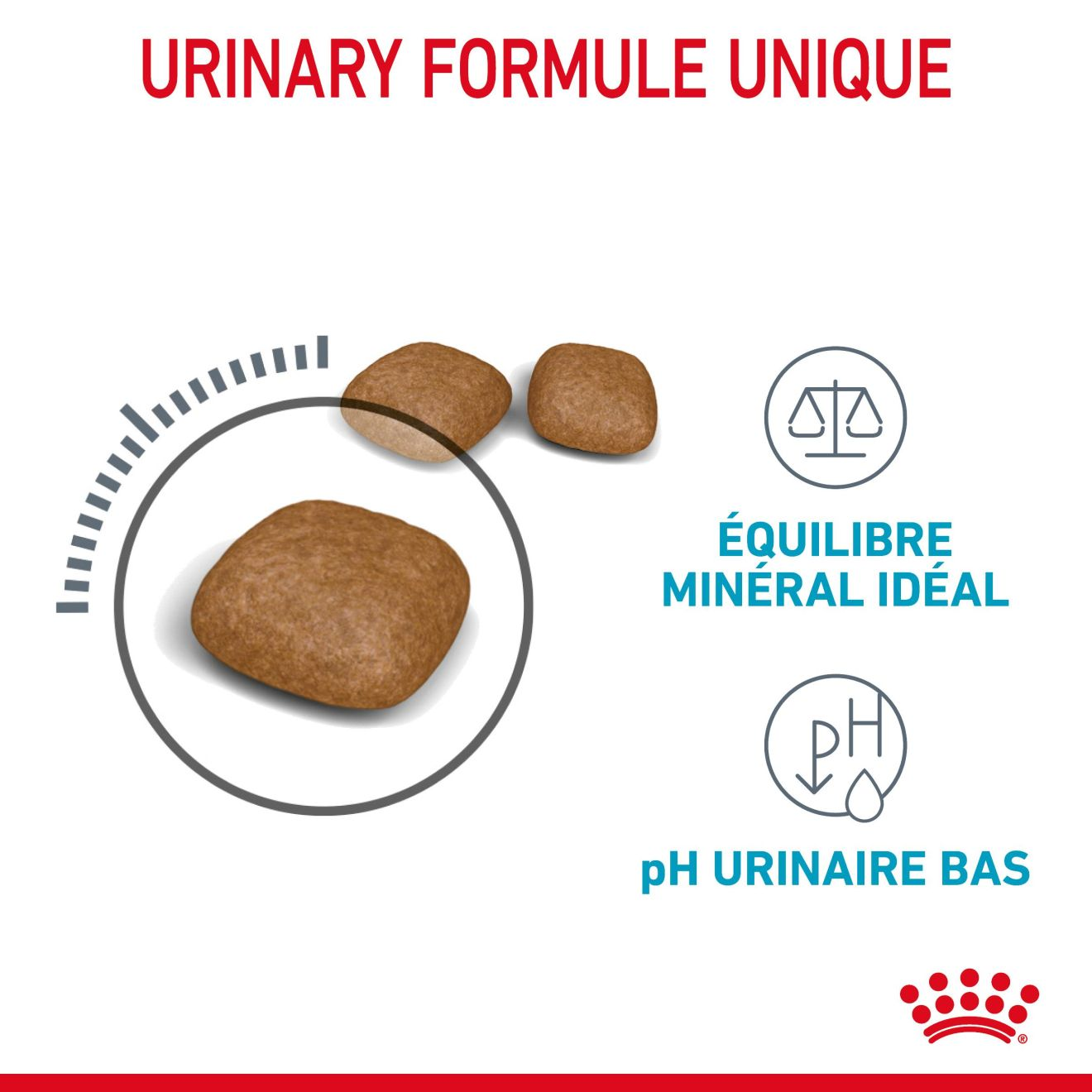 Urinary Care