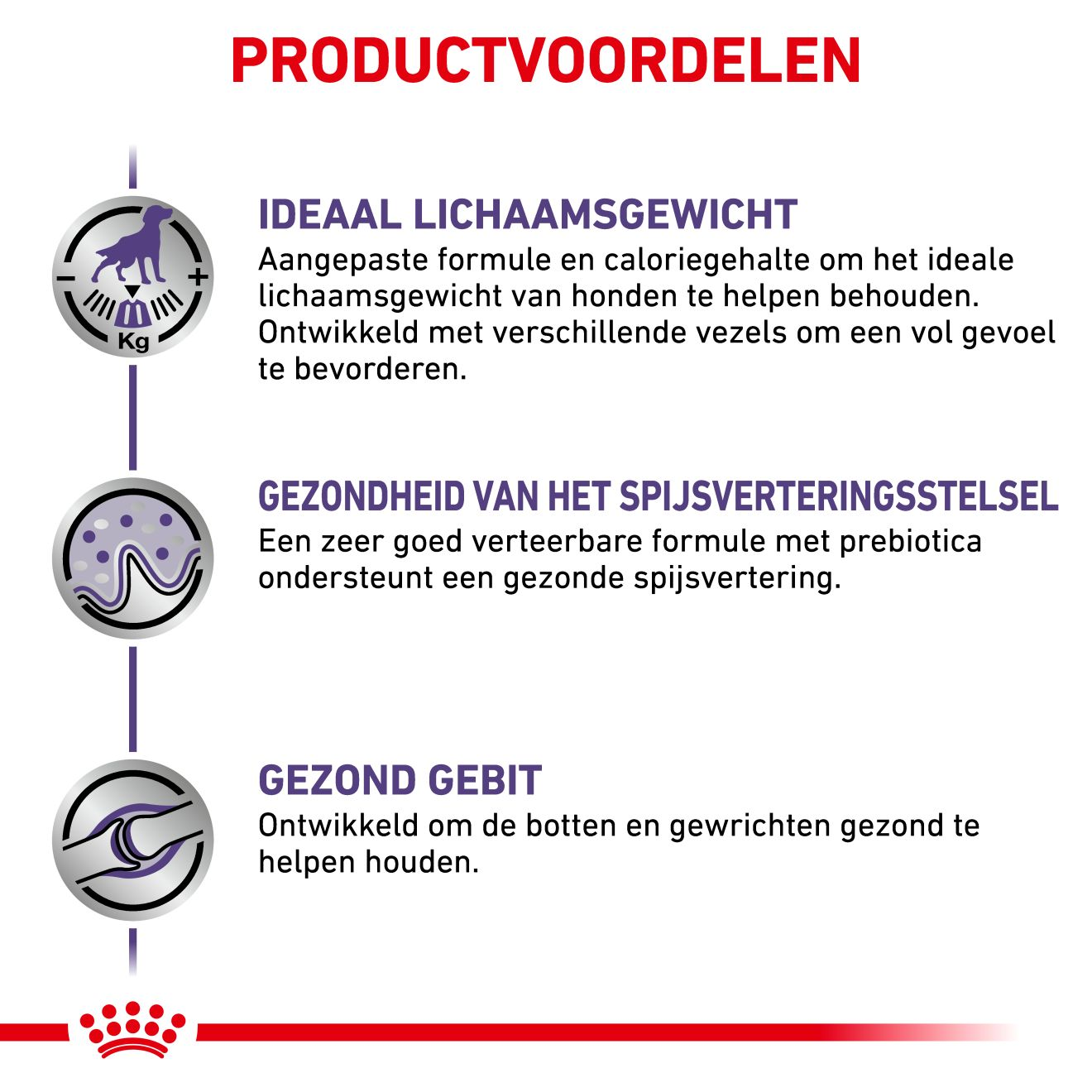 Neutered Adult Large Dogs 