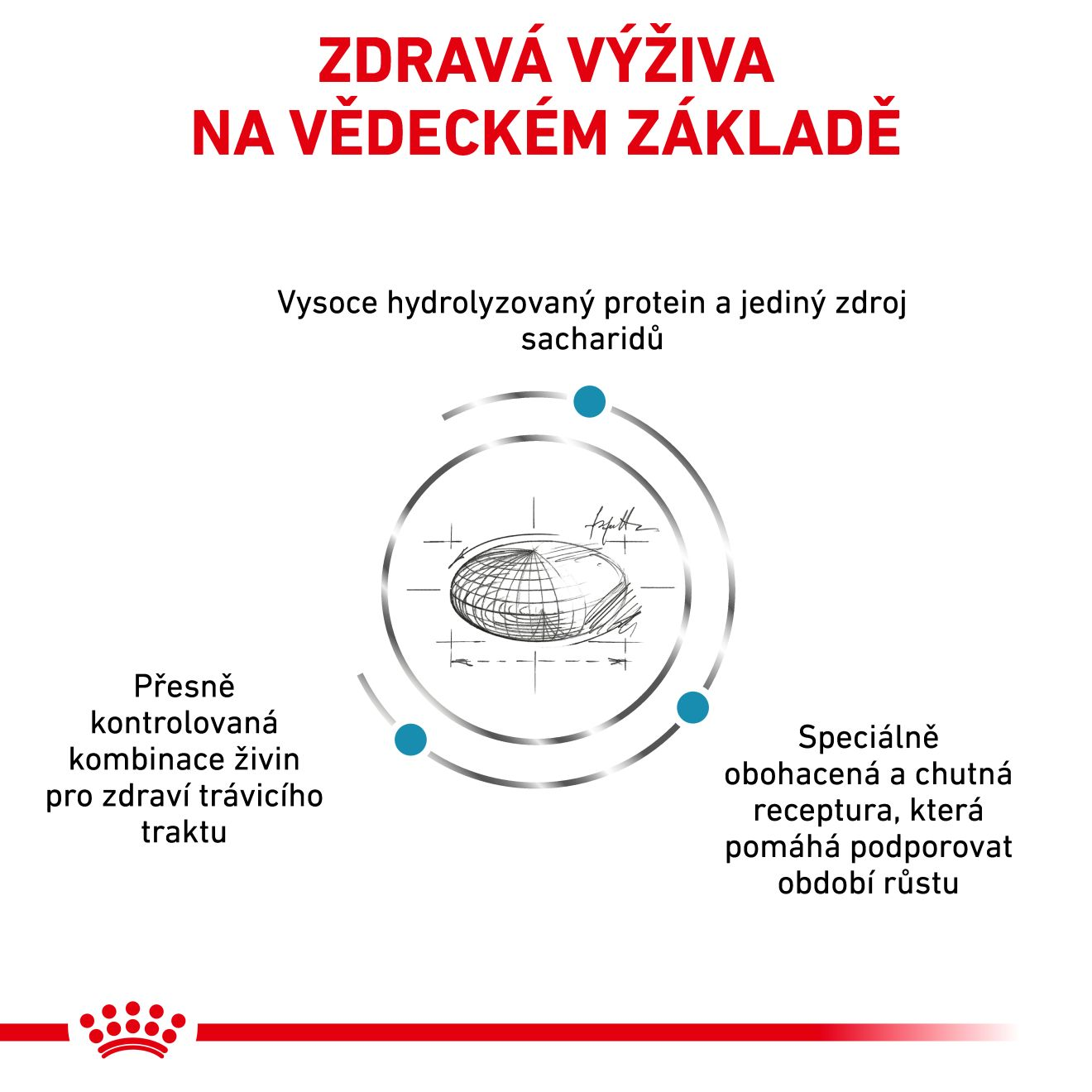 VHN Dog Hypoallergenic Puppy