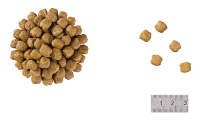 12 VCNF DRY Kibbles - SENC-ST2-VCNC-CROC