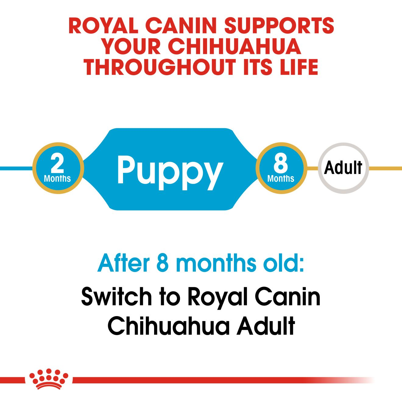 Chihuahua Puppy Dog Food Royal Canin UK