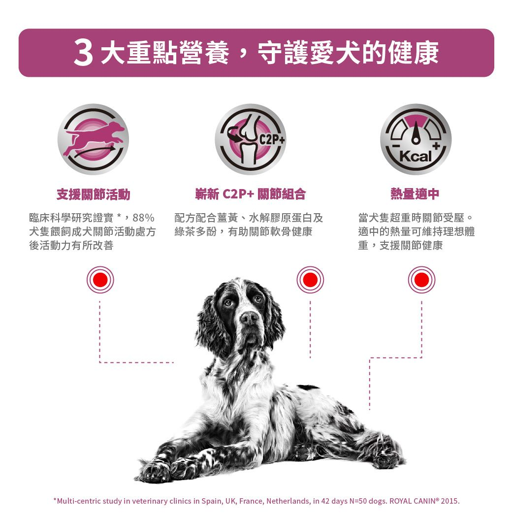 成犬關節活動處方