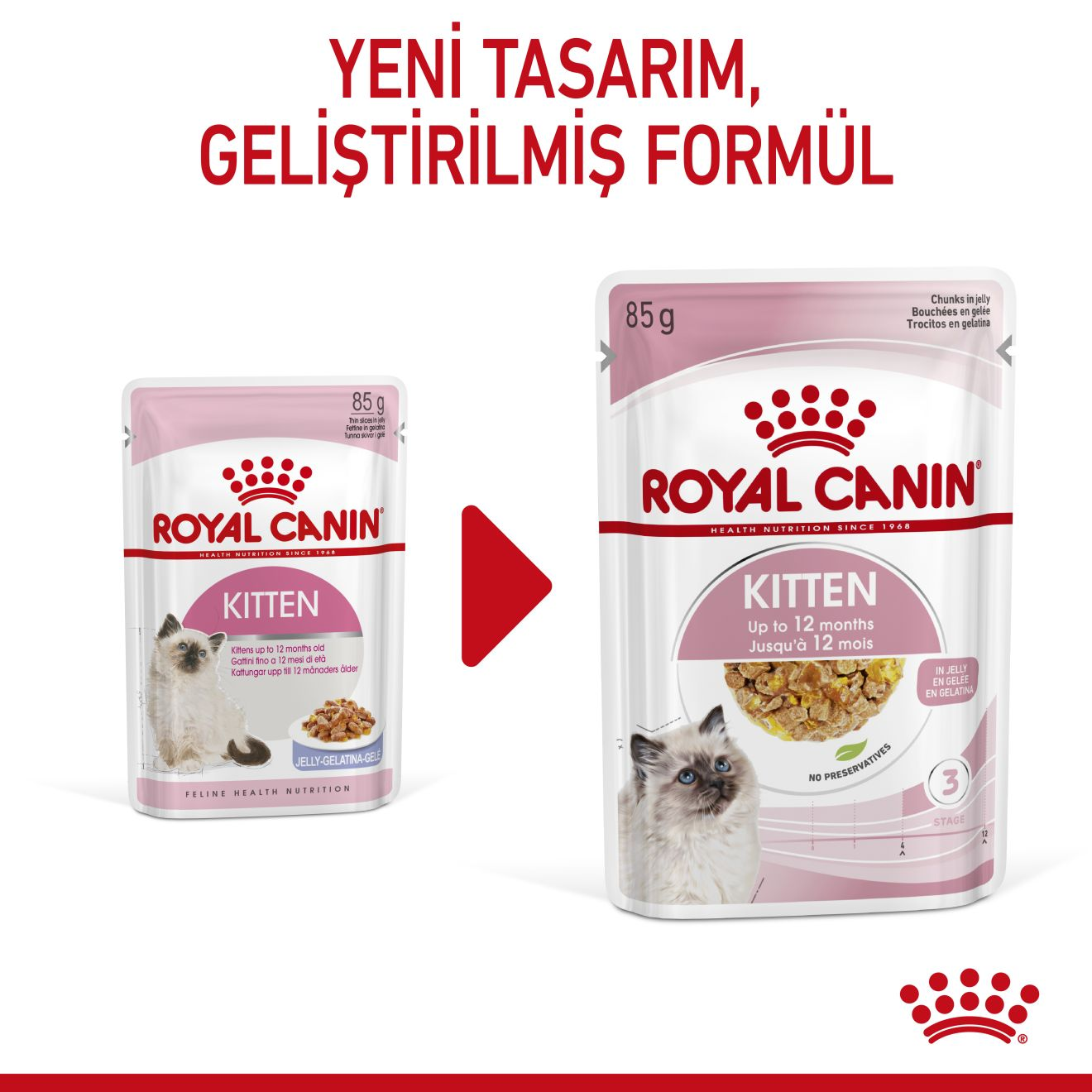 Kitten Jelly Yavru Kedi Yaş Maması