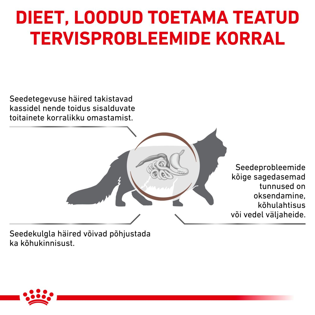 Royal Canin Gastrointestinal Fibre Response Cat kuivtoit