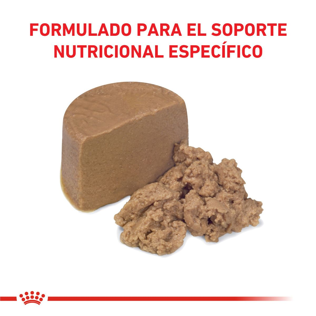 Gastrointestinal Puppy Canine