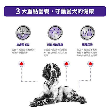 成犬健康管理袋裝濕糧（肉汁）_方_2