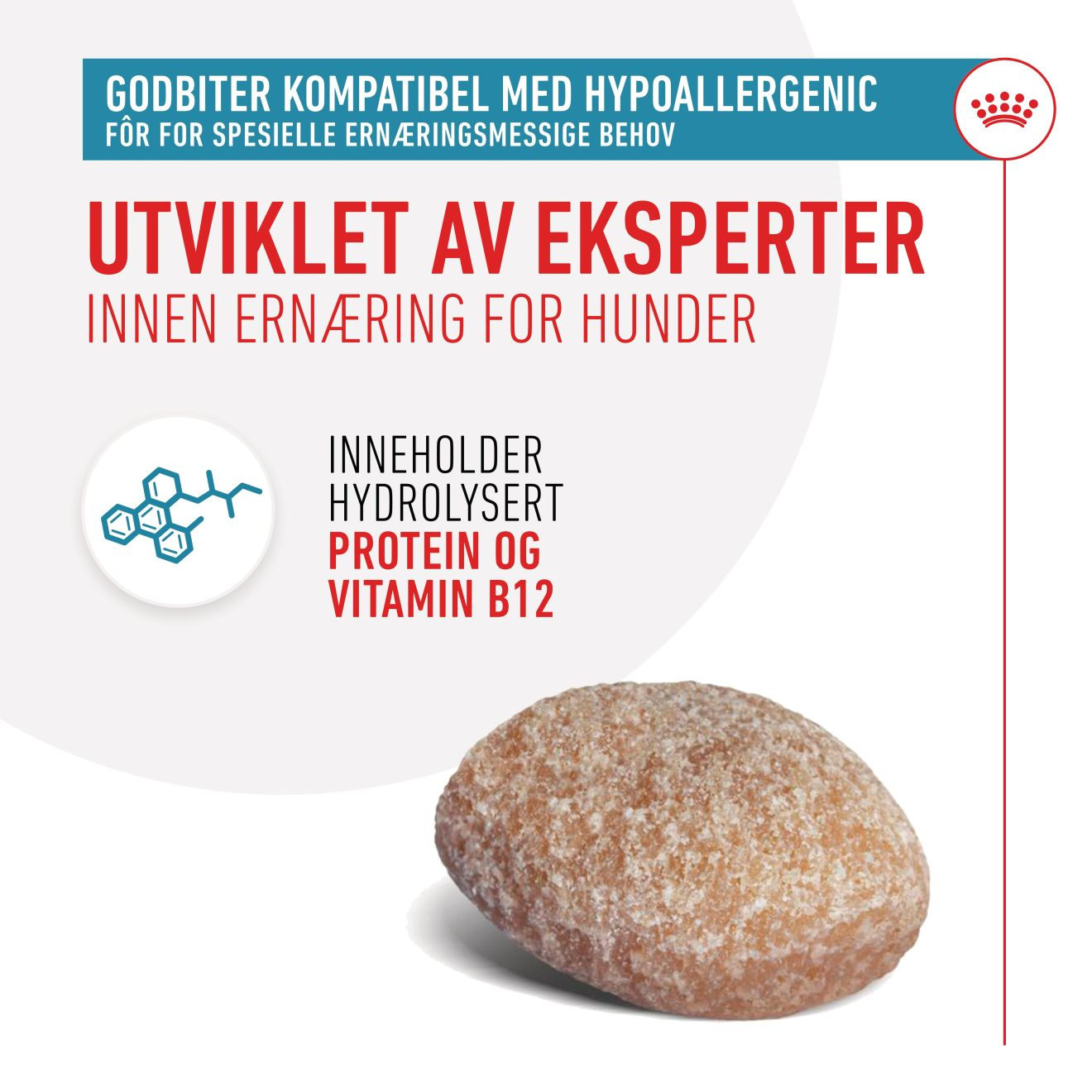 Hypoallergenic Treats