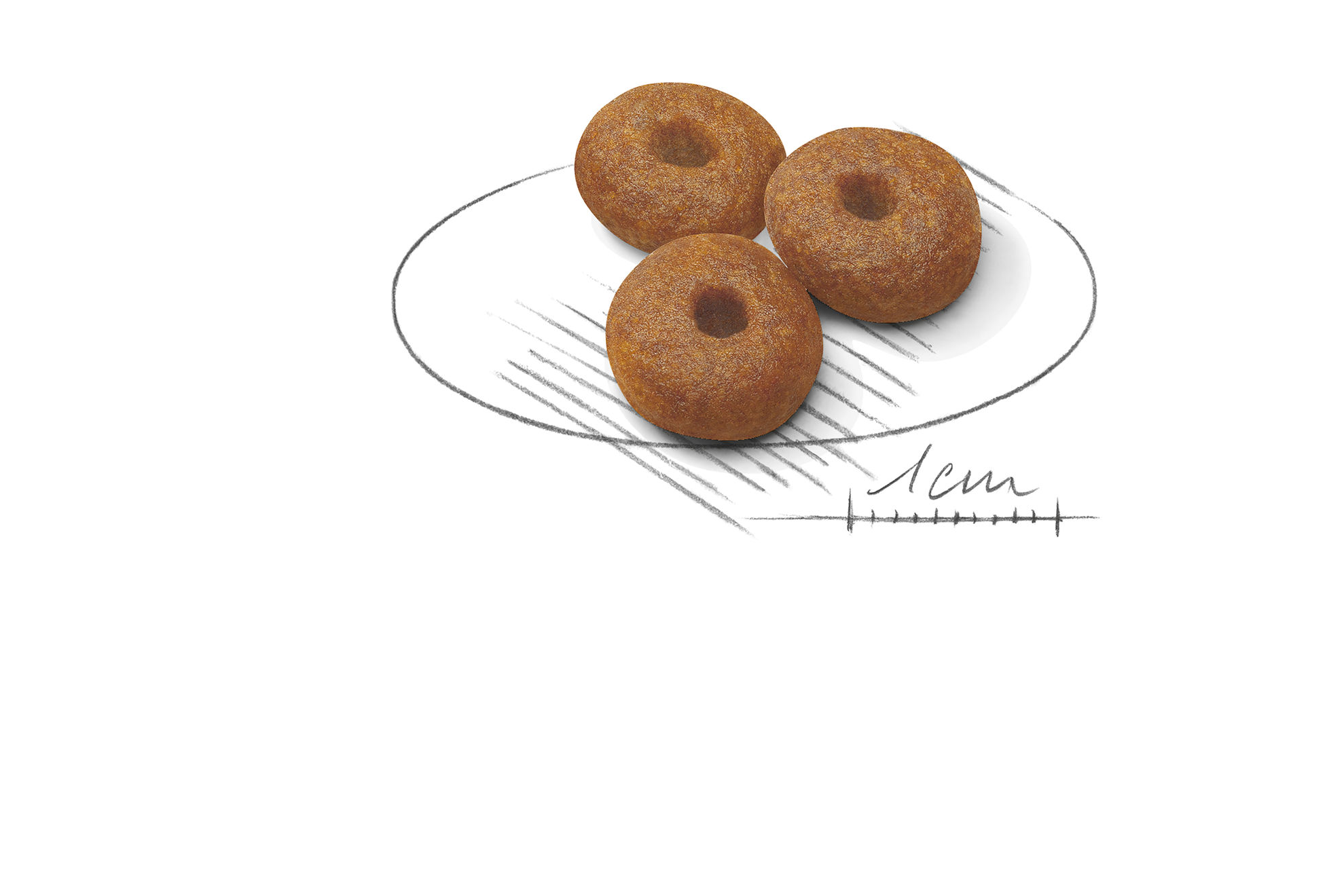 maxi starter mother and baby dog