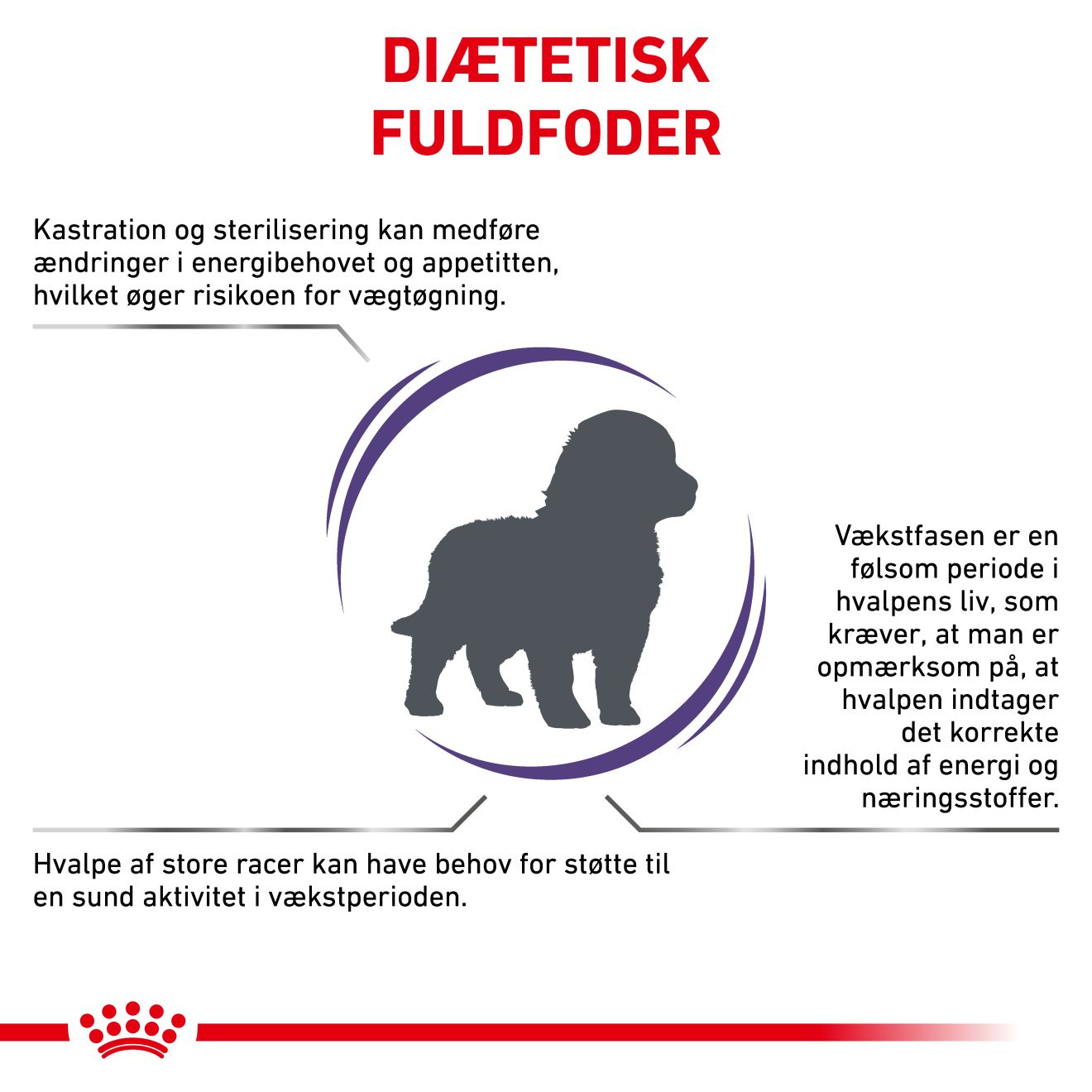 Health Neutered Junior Large Dog