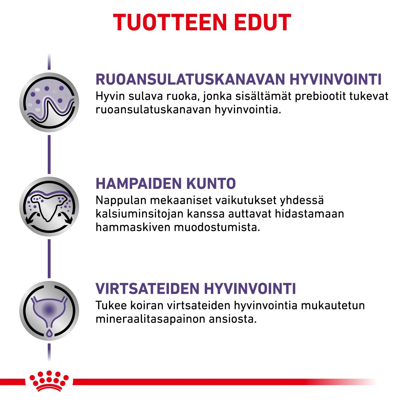 Health Adult Small dog