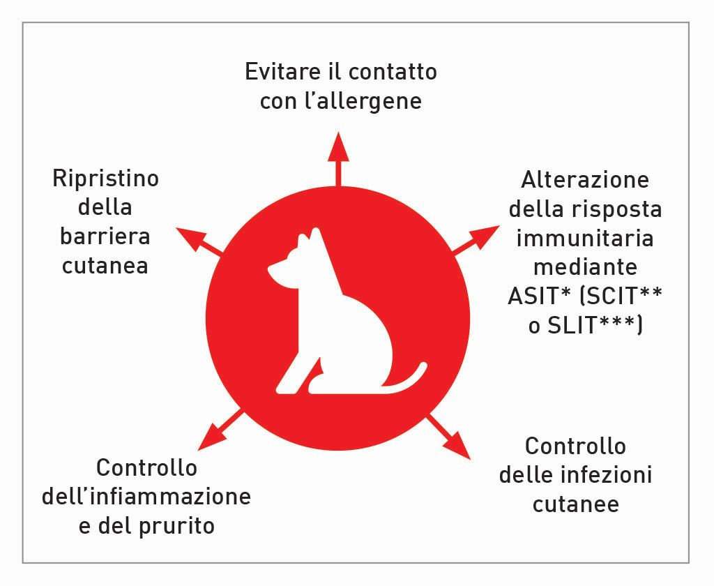 Gestione terapeutica multimodale della dermatite.