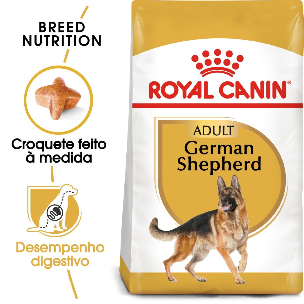 German Shepherd Adult