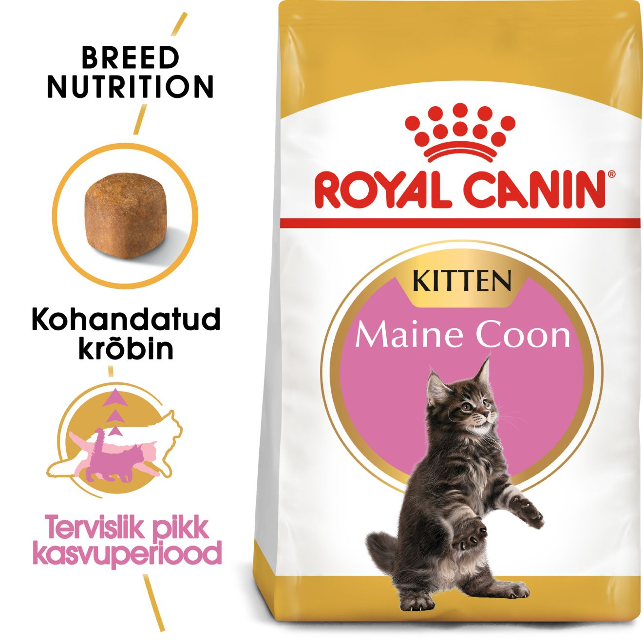 Royal Canin Maine Coon Kitten kuivtoit