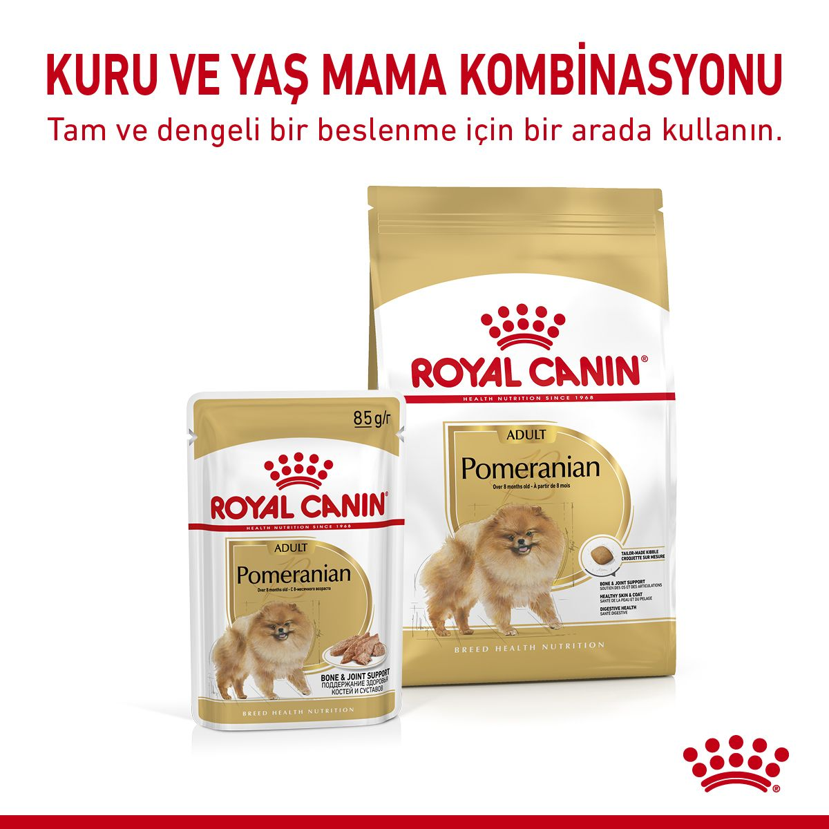 Pomeranian Adult Loaf Yetişkin Köpek Yaş Maması