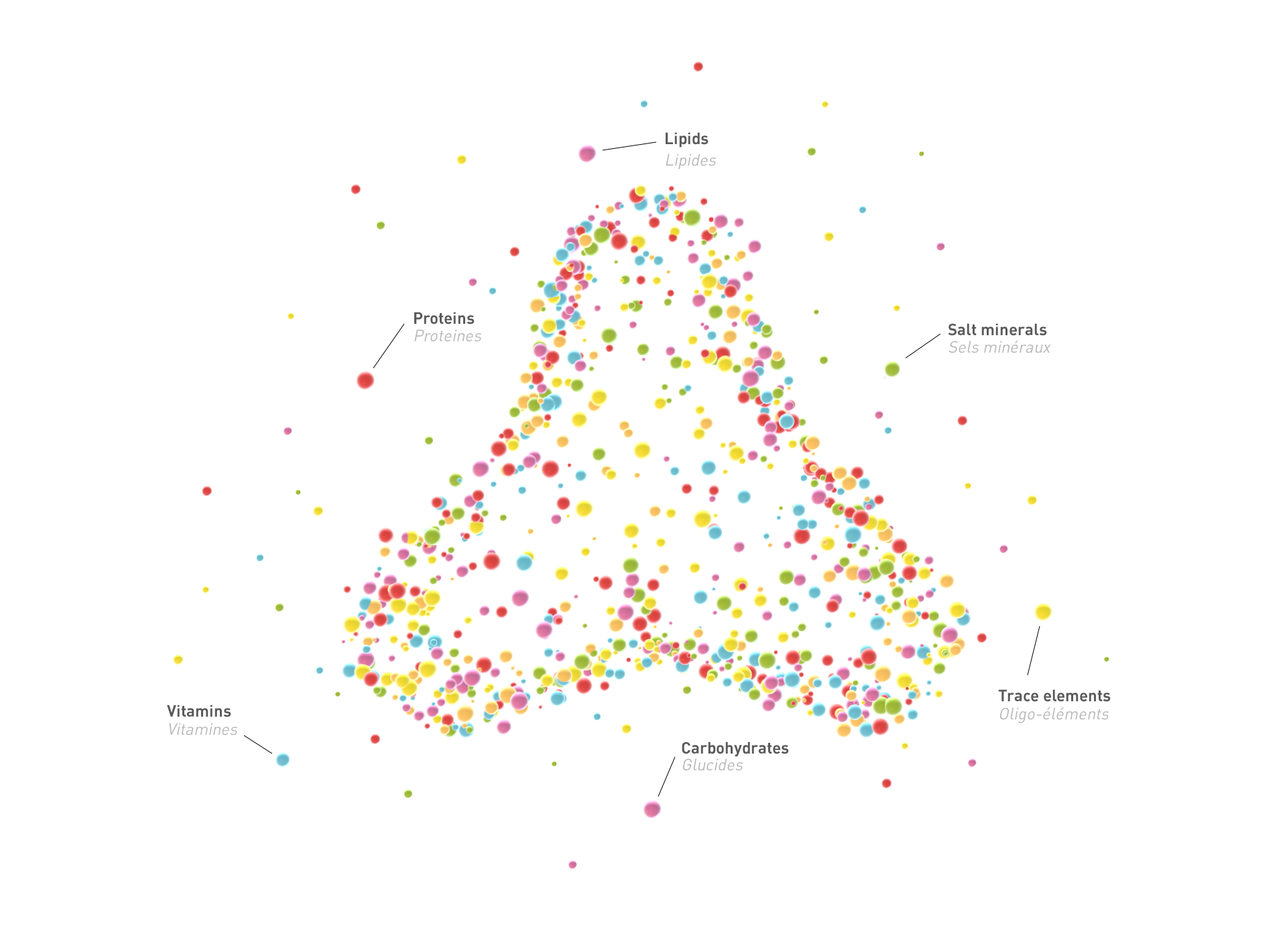 Les nutriments des croquettes pour chiens et chats