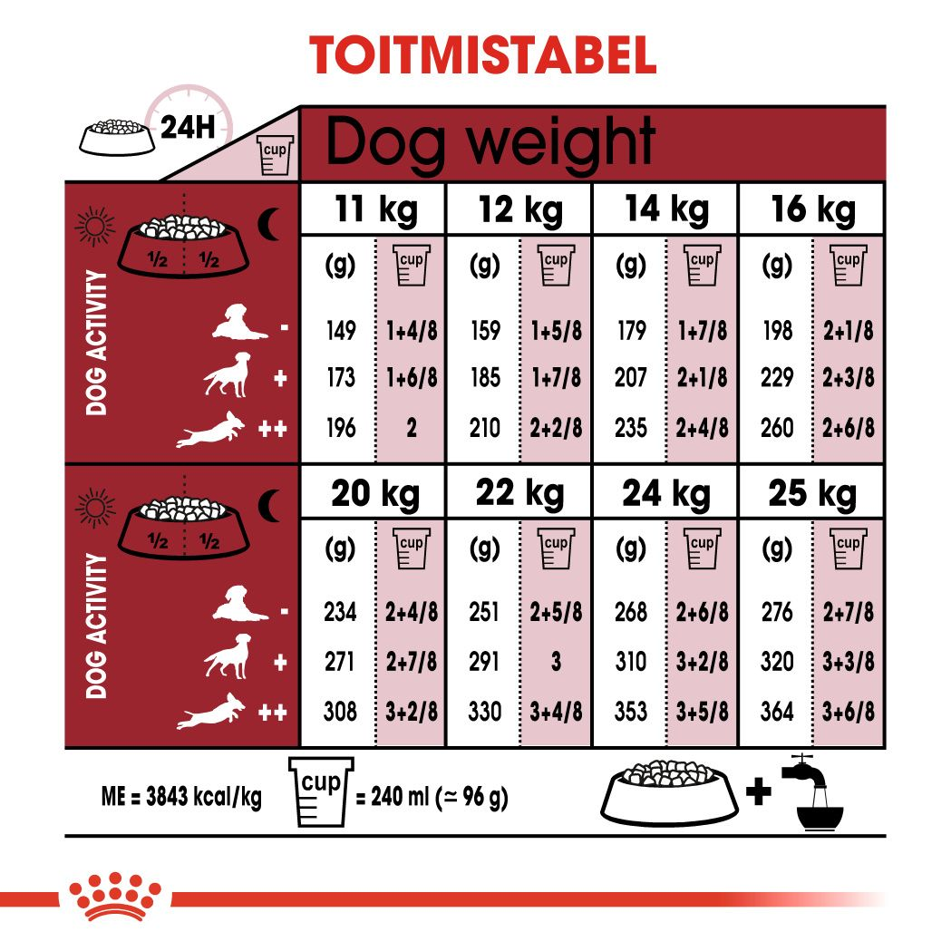 Royal Canin Medium Adult kuivtoit