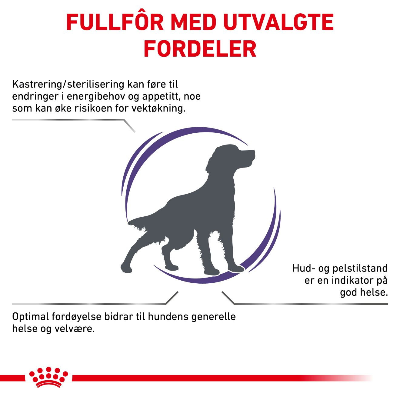 Health Neutered Adult 