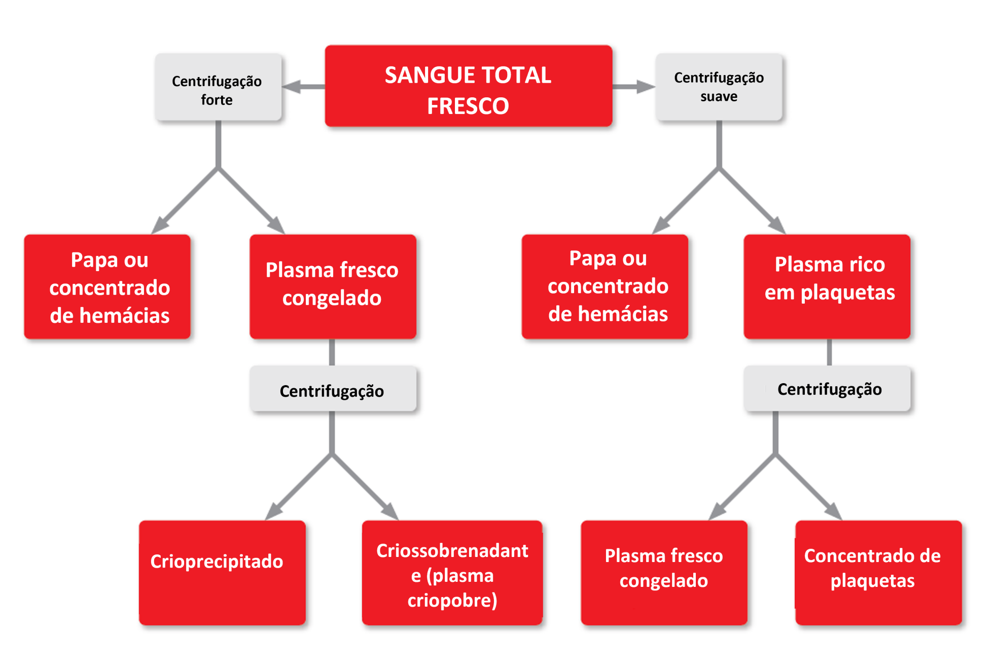 Subdivisão dos produtos 