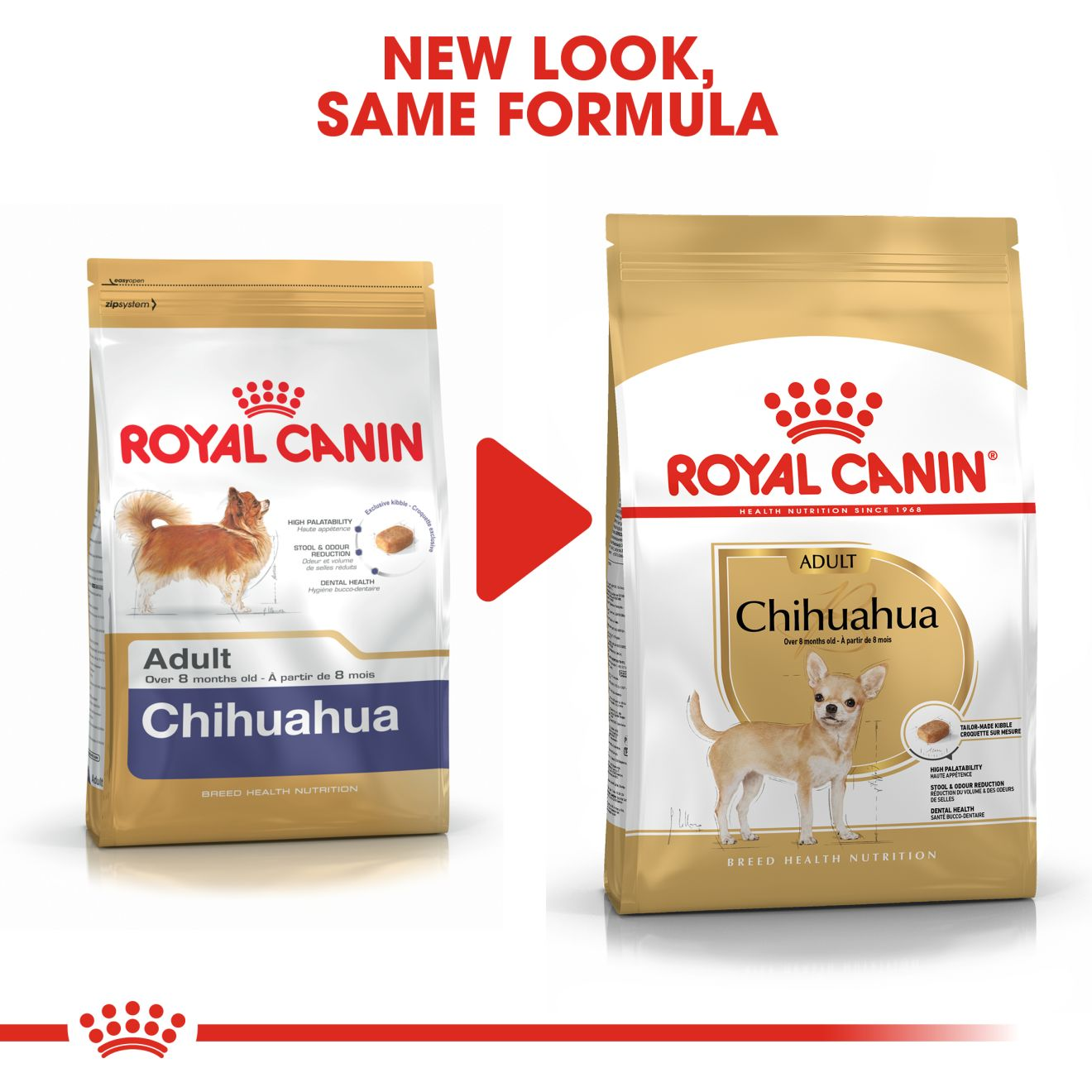 Chihuahua adult royal sales canin