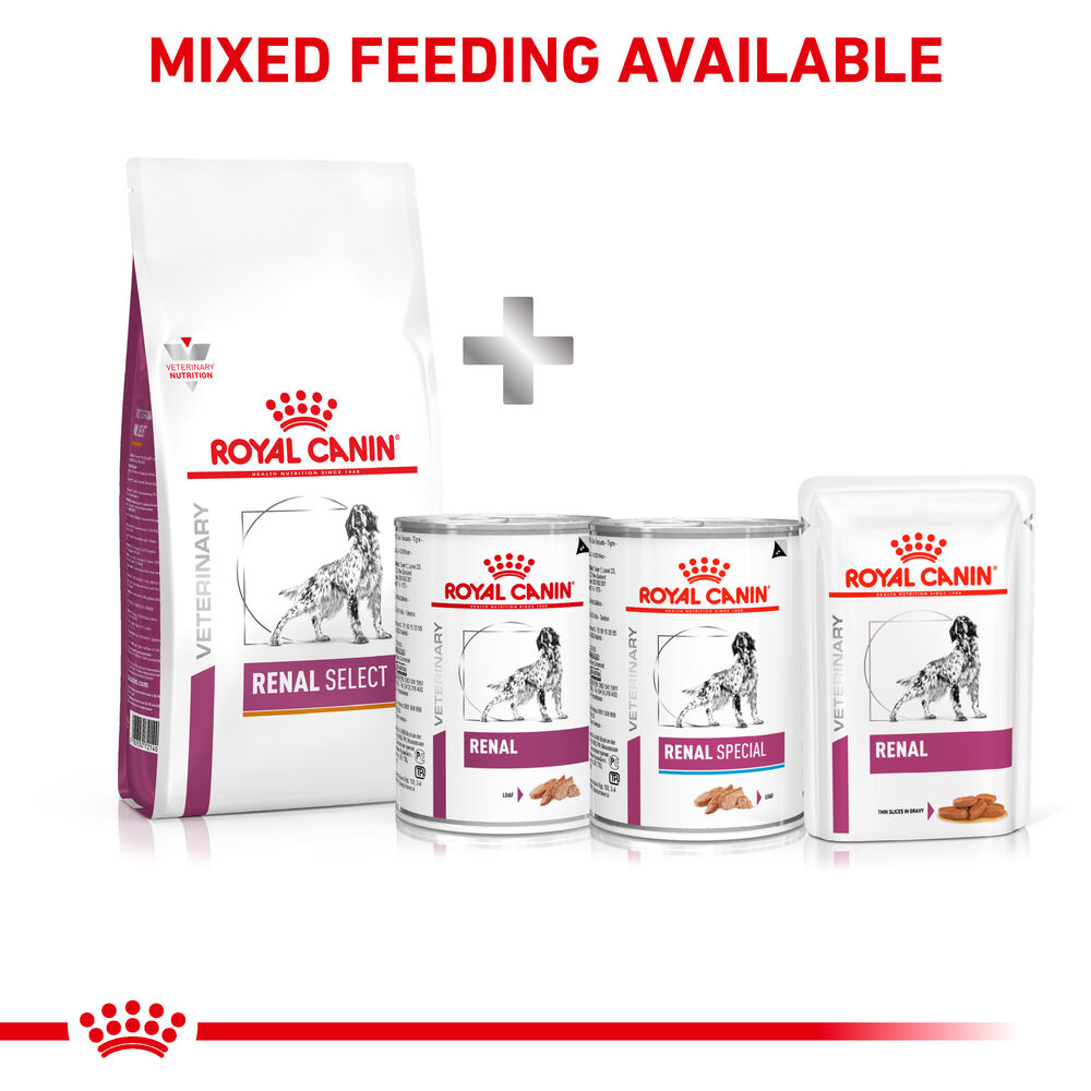 Royal canin renal select canine sale