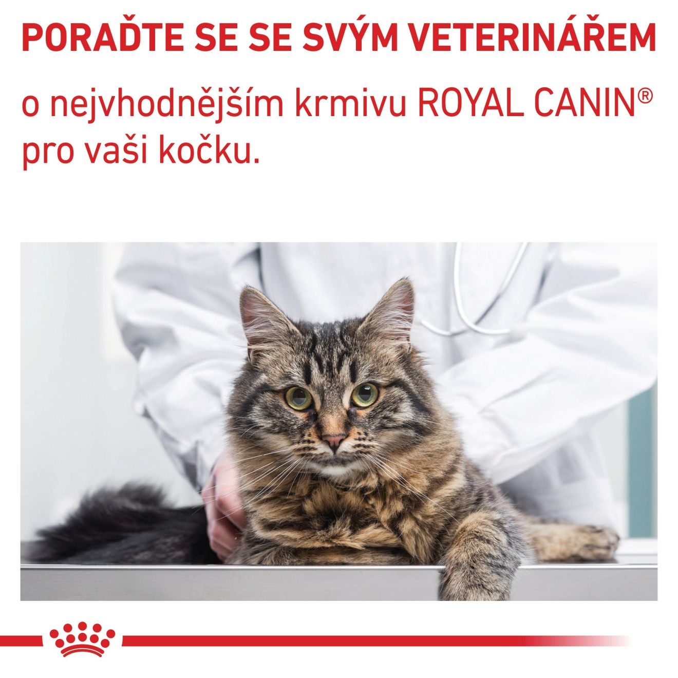 VHN Cat Neutered Satiety Balance