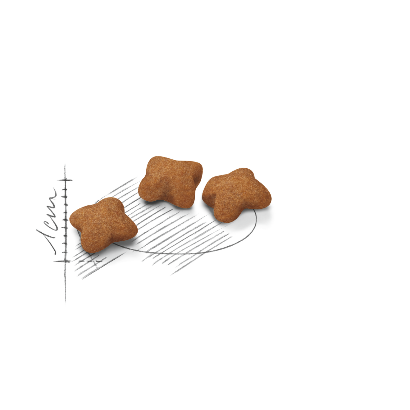 royal kitten sterilised